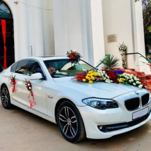 Modern Bridal Wedding Car Decor